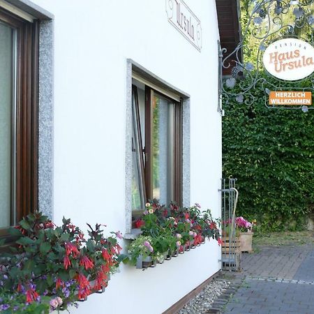 Pension Haus Ursula โคเบลนซ์ ภายนอก รูปภาพ
